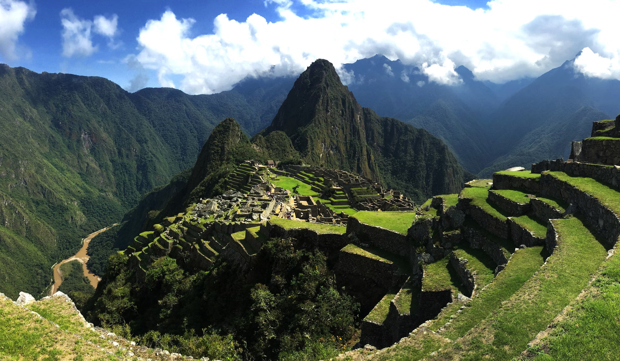 South American