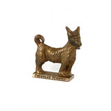 Roman Chesters Terrier